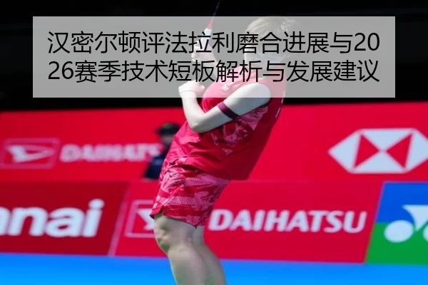 han-mi-er-dun-ping-fa-la-li-mo-he-jin-zhan-yu-sai-ji-ji-shu-duan-ban-jie-xi-yu-fa-zhan-jian-yi-2-608.jpg