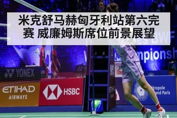 米克舒马赫匈牙利站第六完赛 威廉姆斯席位前景展望
