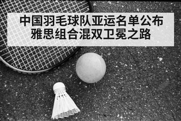 中国羽毛球队亚运名单公布 雅思组合混双卫冕之路